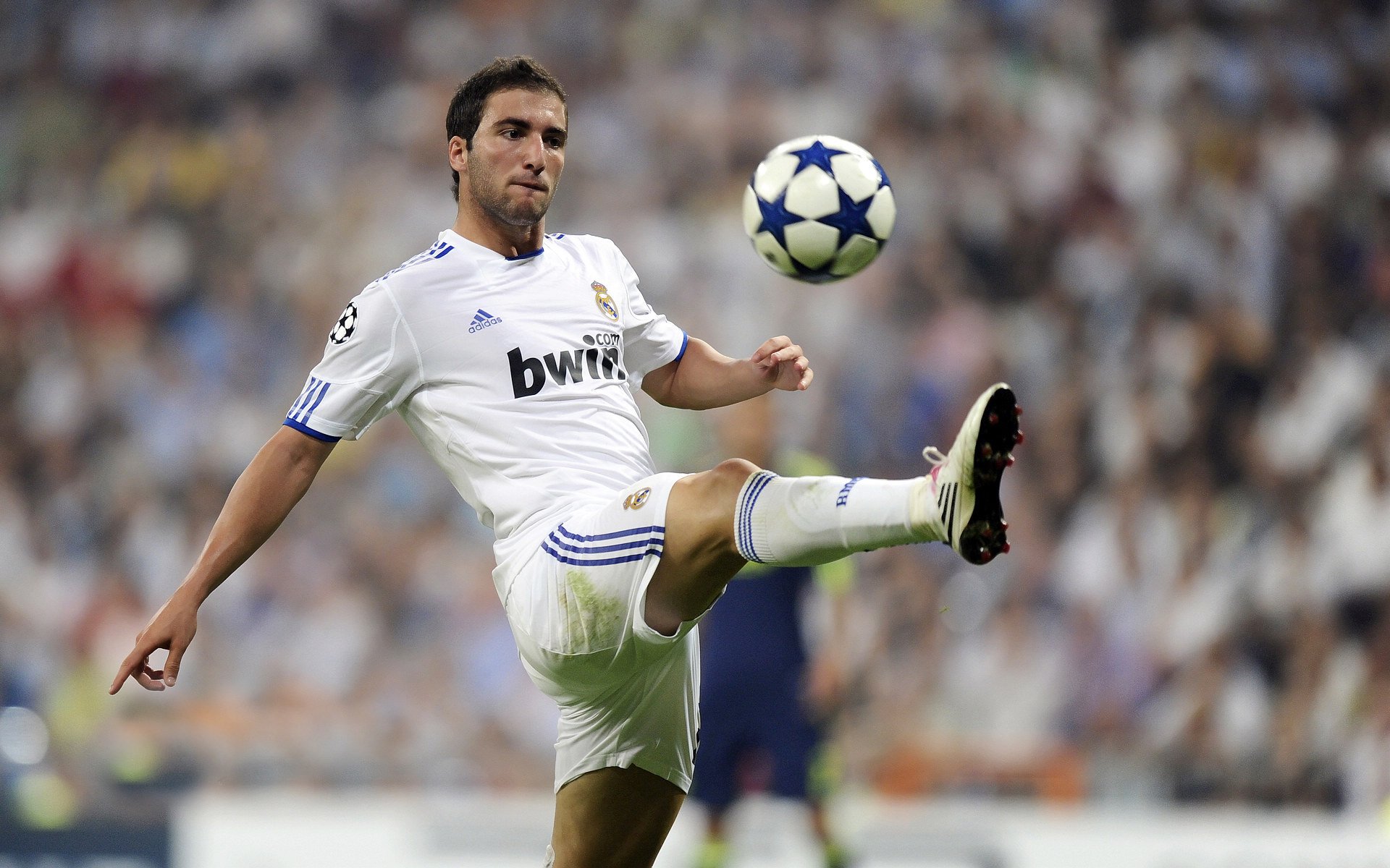 厄瓜多尔女足力拔头筹，实力备受认可，厄瓜多尔足球队员