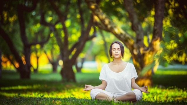 墨西哥马术协会举办马匹护理培训班，提高骑手护理技能。，墨西哥骑马鹰洋